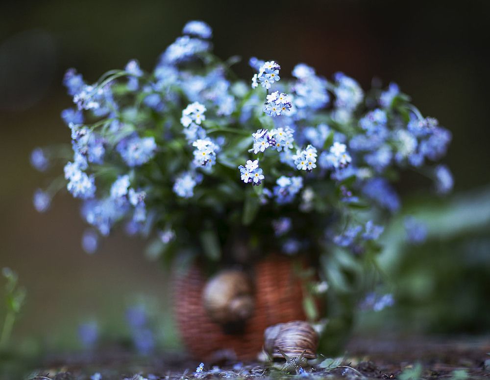 Весенний букетик