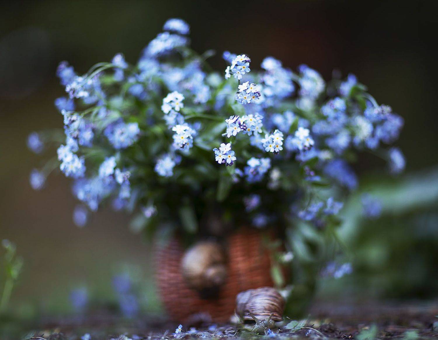 Весенний букетик