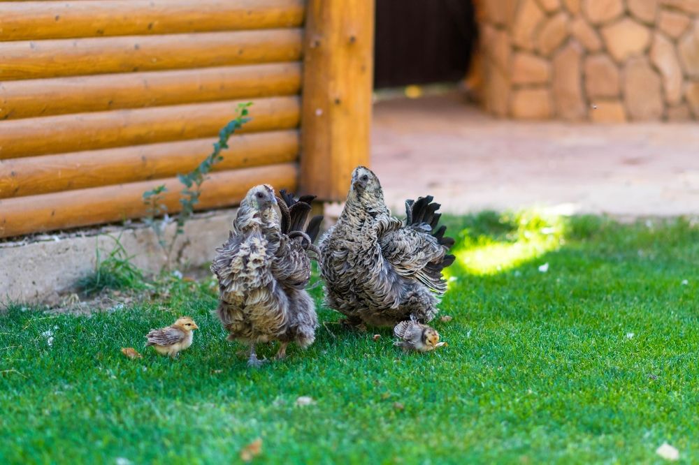 Photograph by Анастасия Киселева