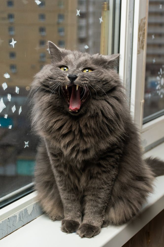 Photograph by Анастасия Киселева