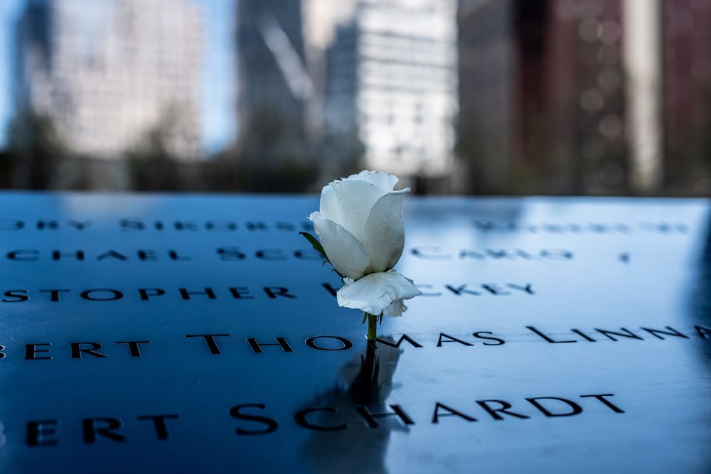 Photograph by Александр Тимохин