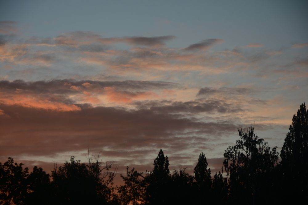 Photograph by Ольга Истомина