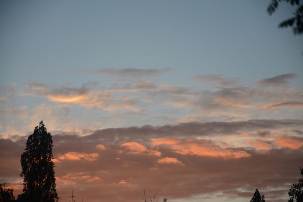 Photograph by Ольга Истомина