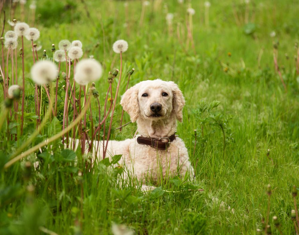 Photograph by Hanna Zapylaieva