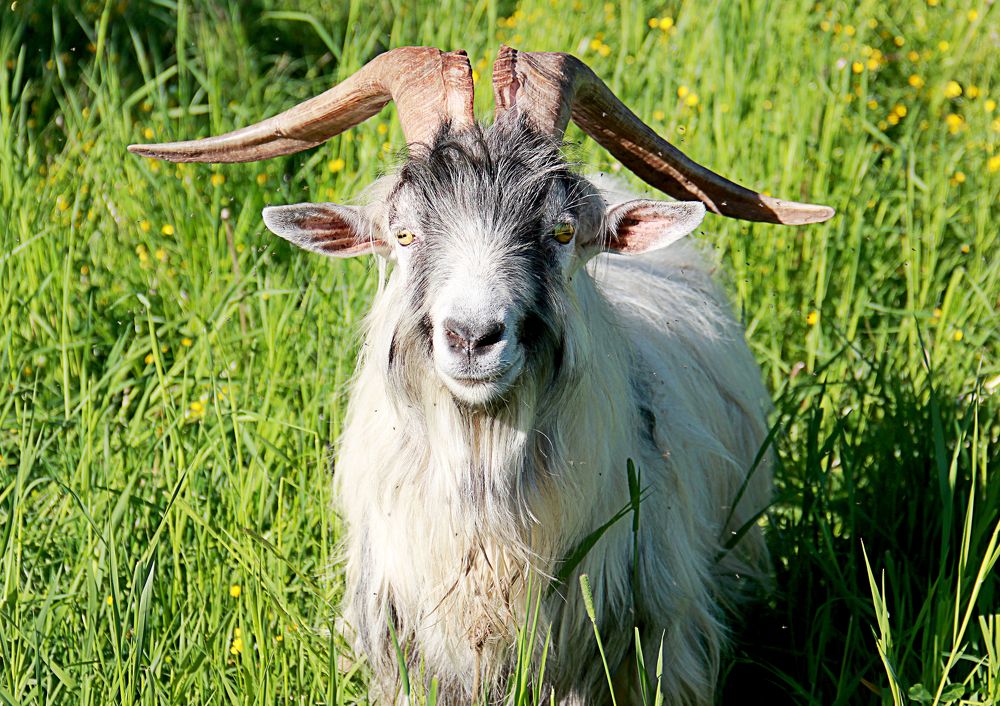 Photograph by Анна-Лаймуте Милошевич