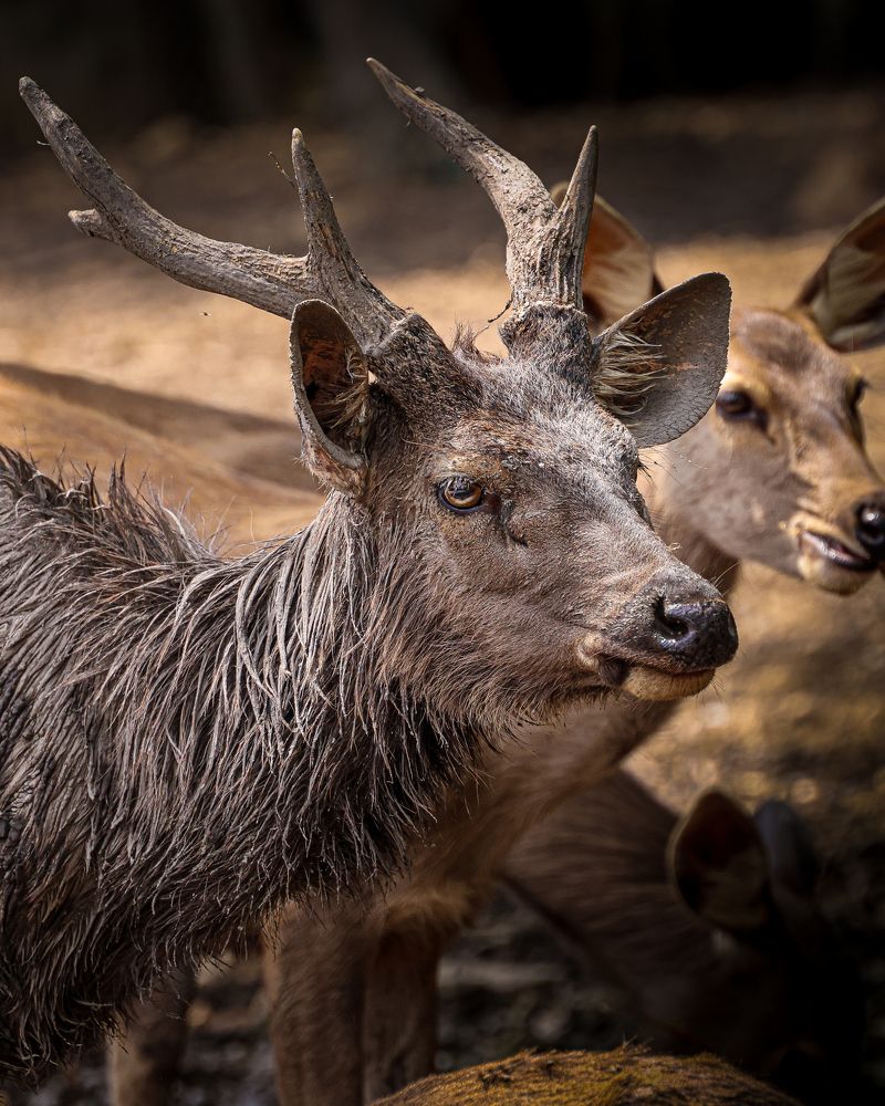 Photograph by Dem Kerrigan