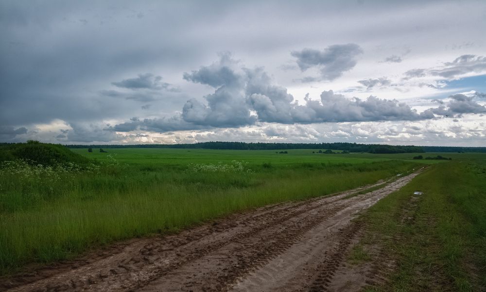 после дождя