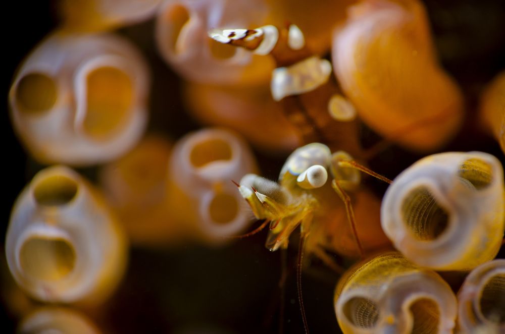 Photograph by EELIN Chan