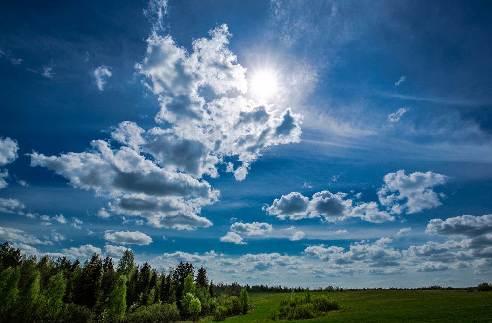 Photograph by Ольга Сафронова