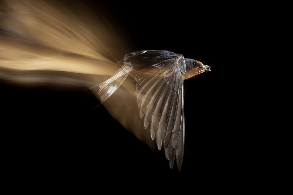 Photograph by Esteban Argerich