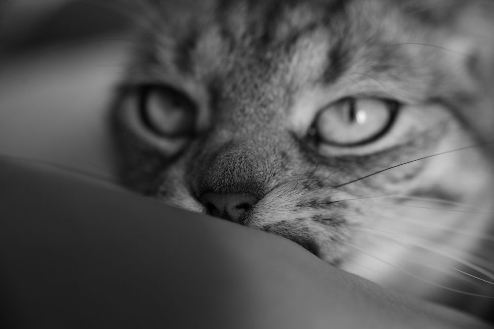 Photograph by Светлана Гришина