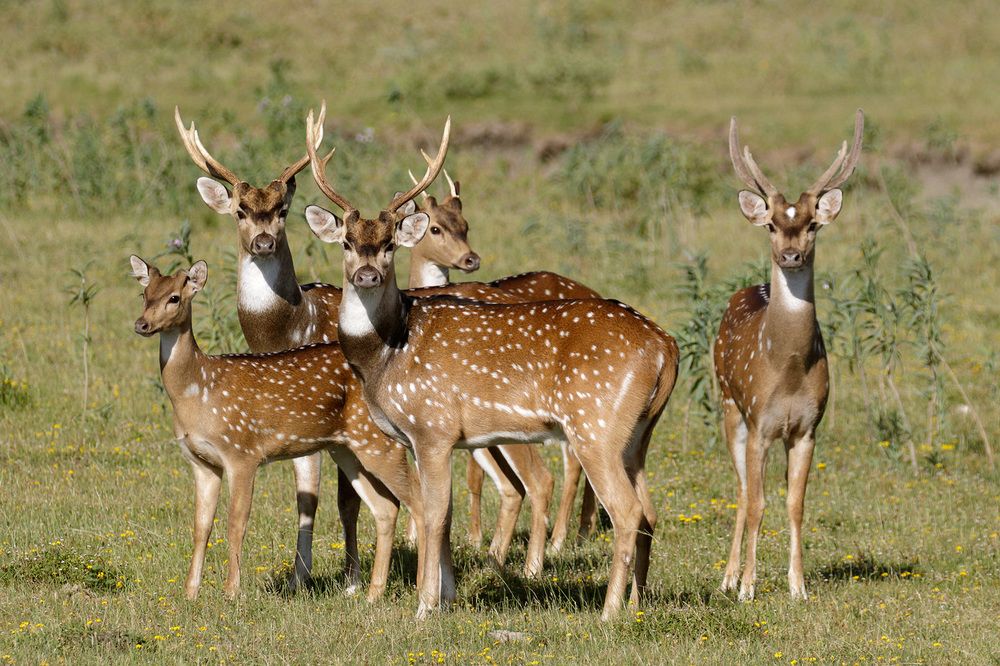 Фотография автора Esteban Argerich