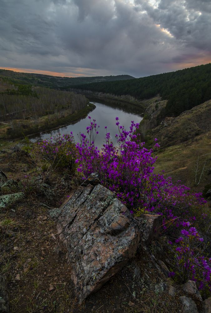 Photograph by Дмитрий Портных