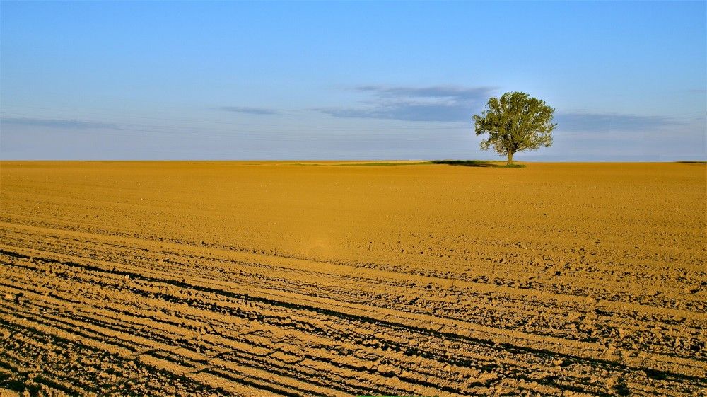 Фотография автора Tomislav Mihelic