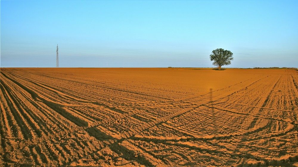 Фотография автора Tomislav Mihelic