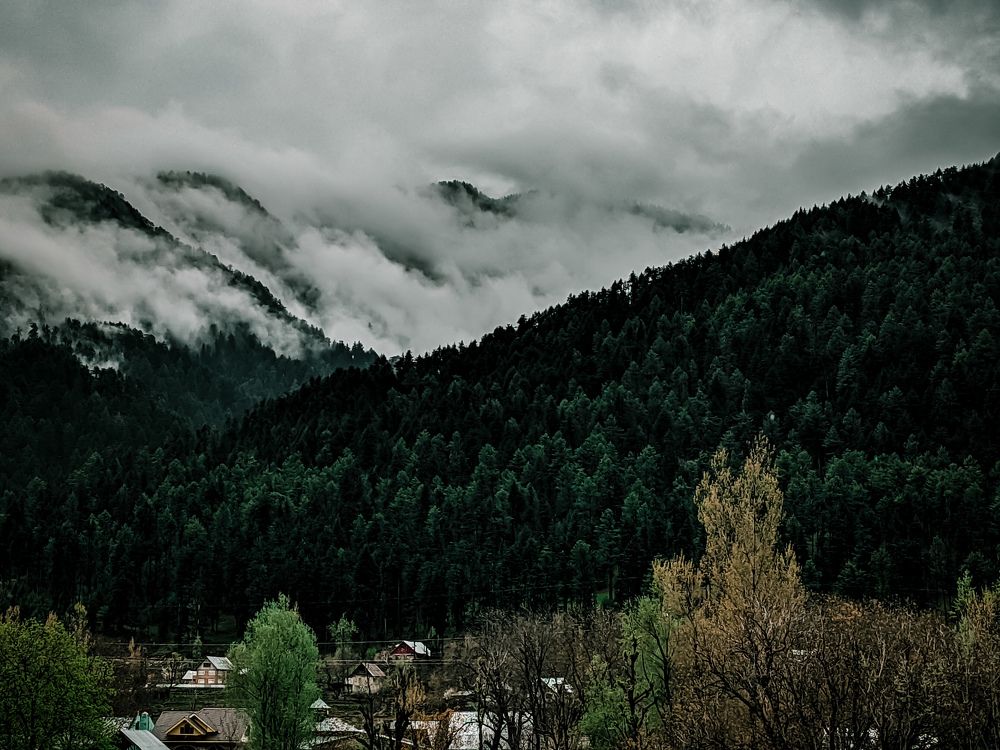 Photograph by Zahoor Mir