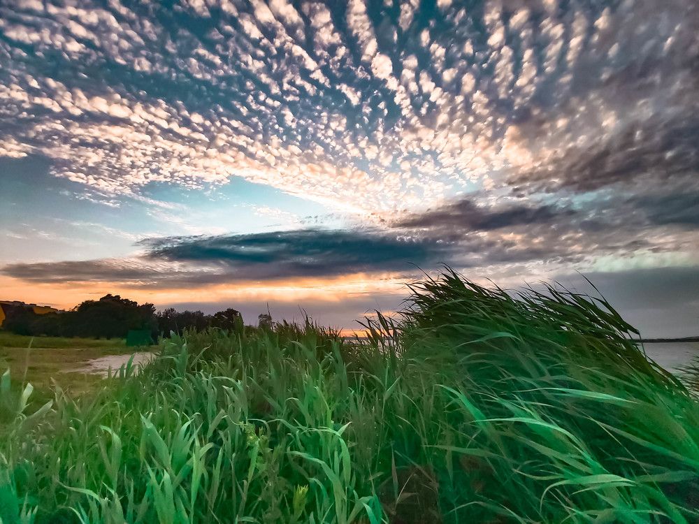 Photograph by Вероника Новикова