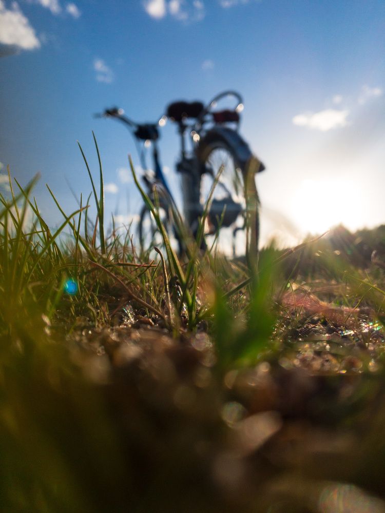 солнечный вечер