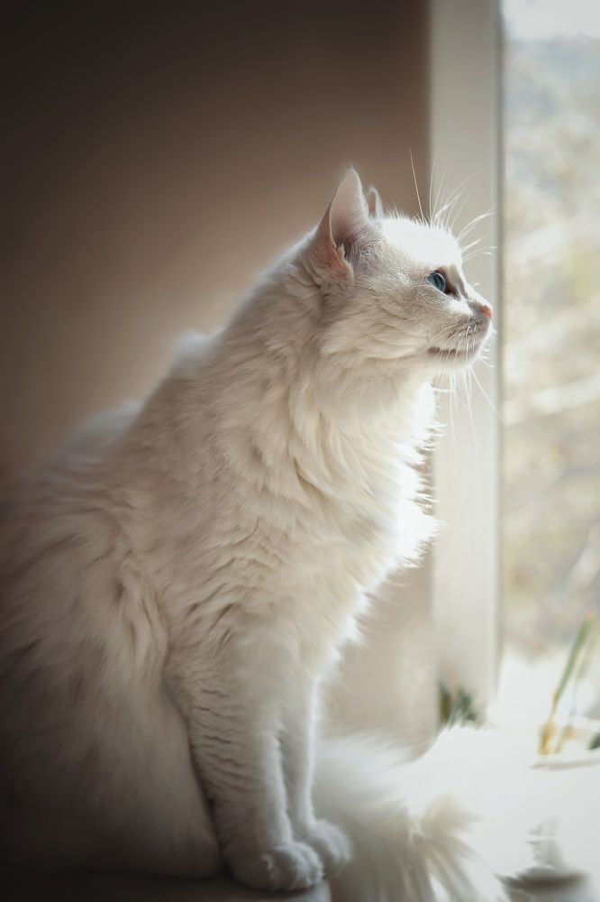 Photograph by Юлия Полтавец