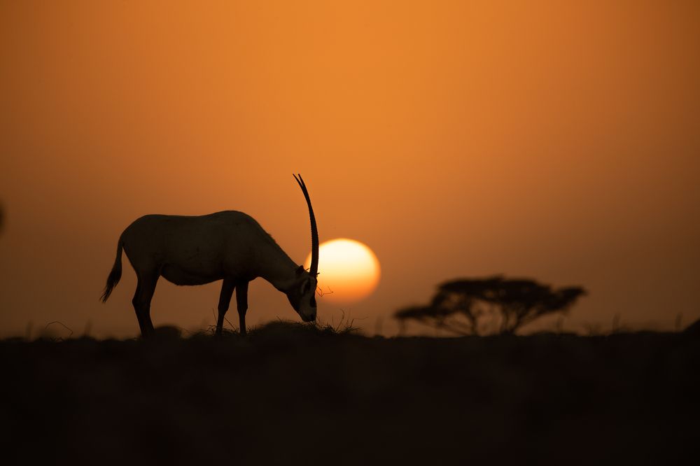 Фотография автора Nagarajan P