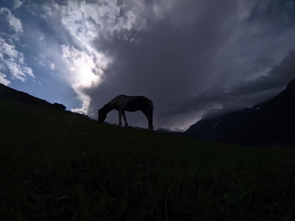 Photograph by Zahoor Mir