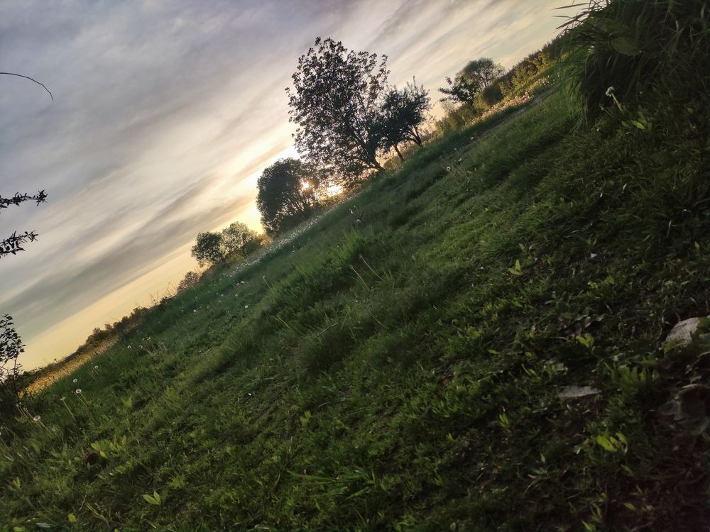Photo #6119098