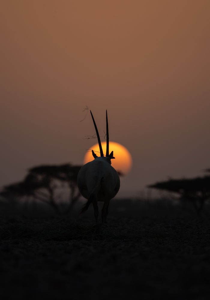 Photograph by Nagarajan P