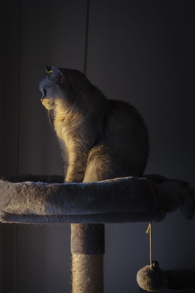 Photograph by Olesya Asbury