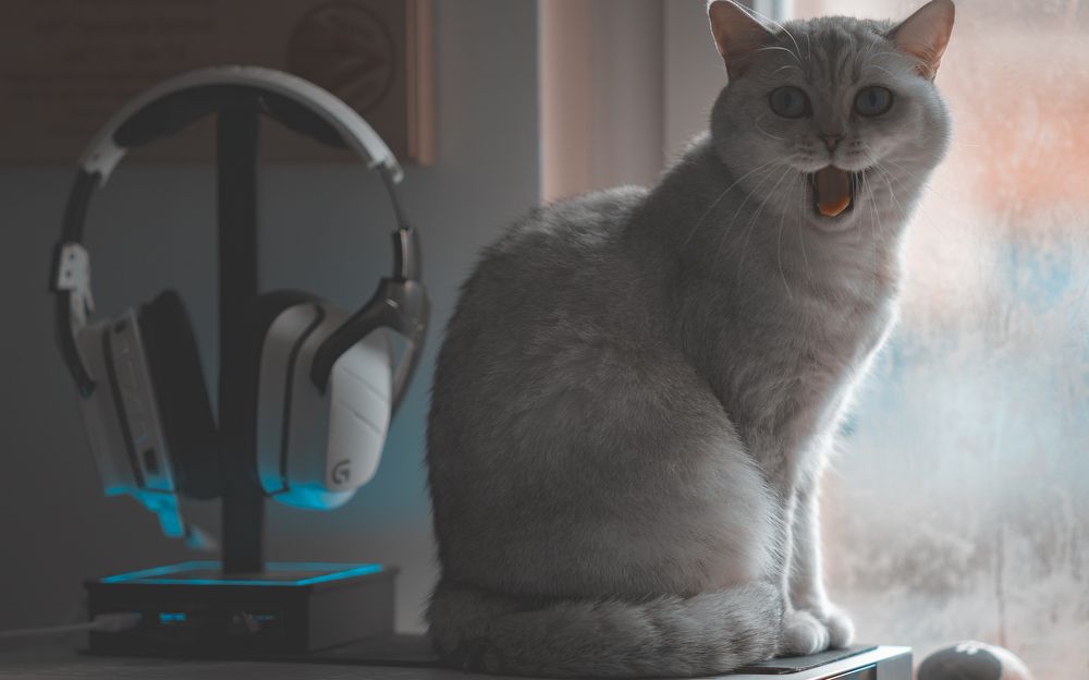 Photograph by Olesya Asbury