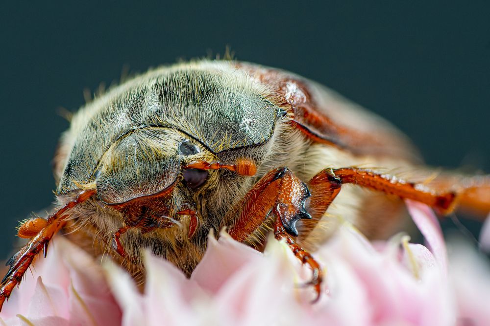 Photograph by  Mykhailo