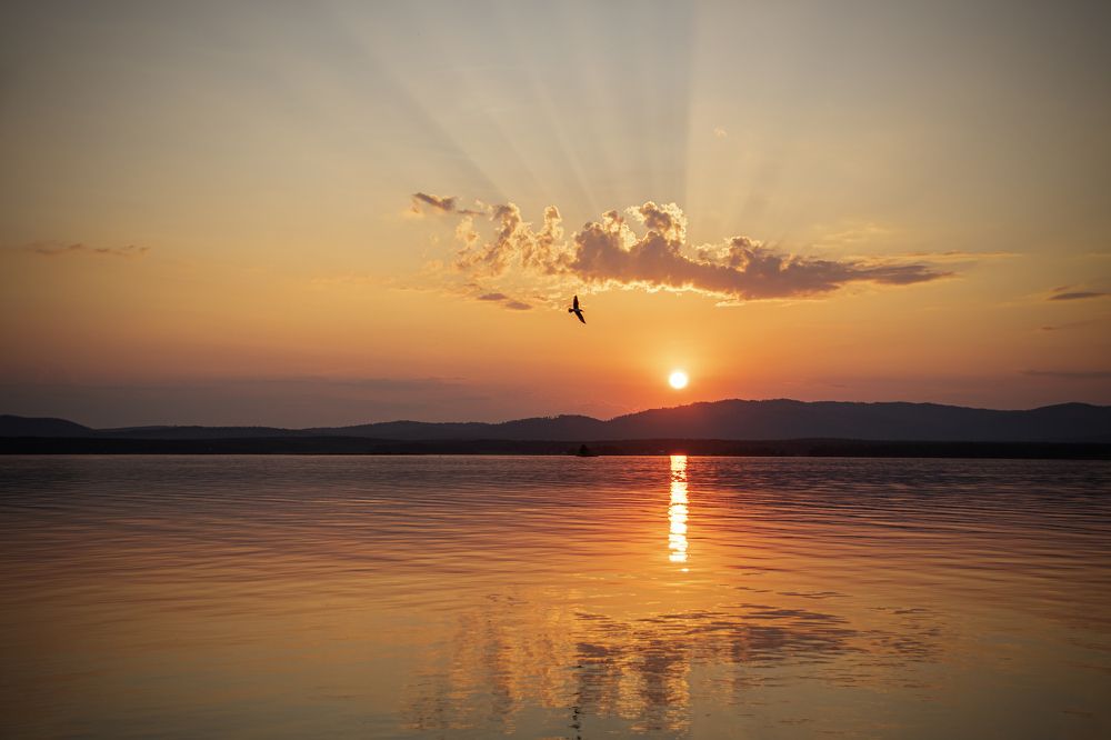 Photograph by Николь Плисовская