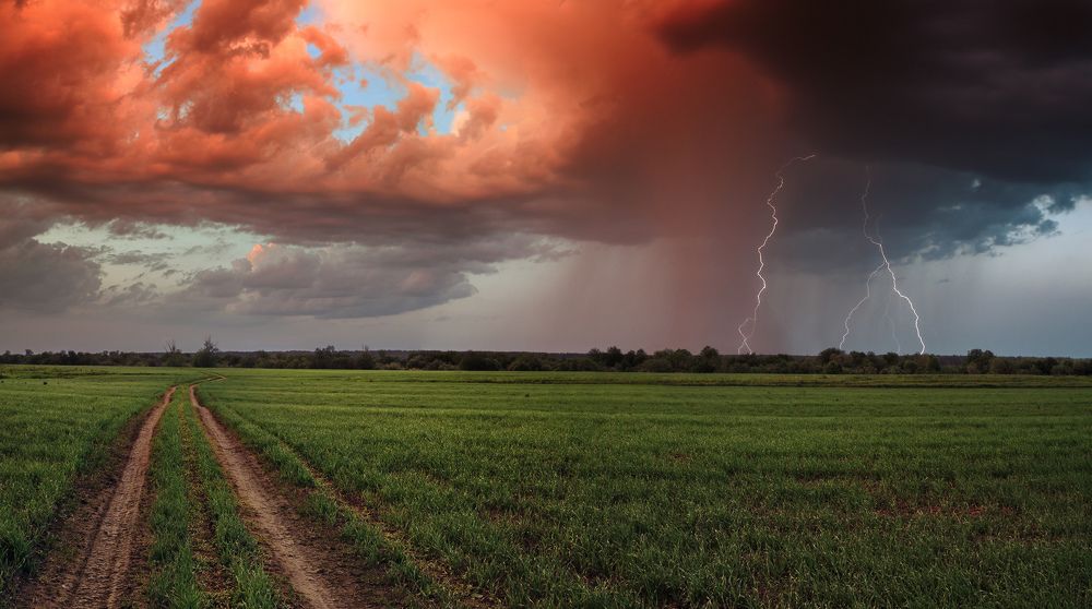 Photograph by Смольский Евгений