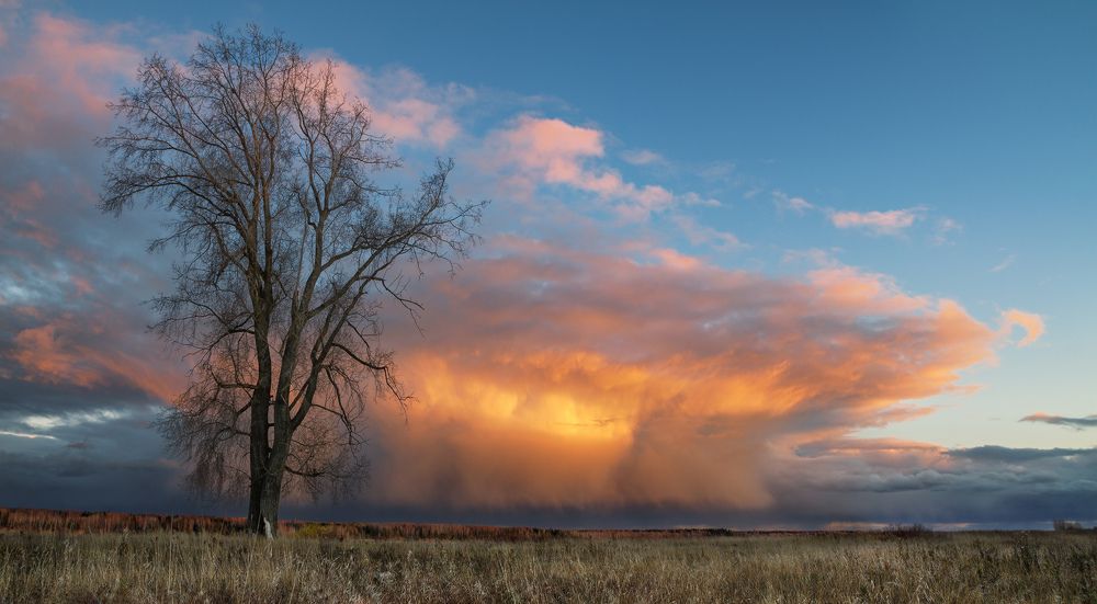Photograph by Смольский Евгений