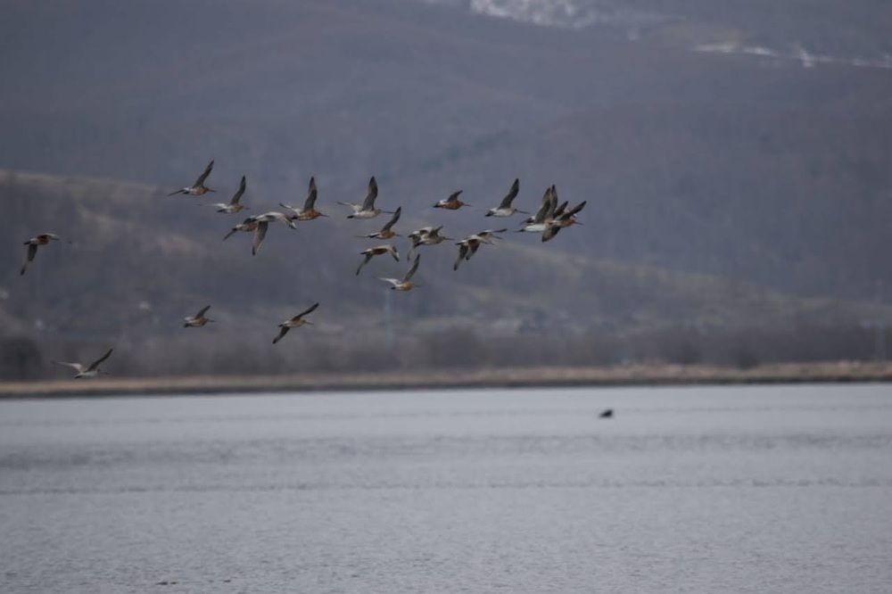 Photograph by Наталья Налобина