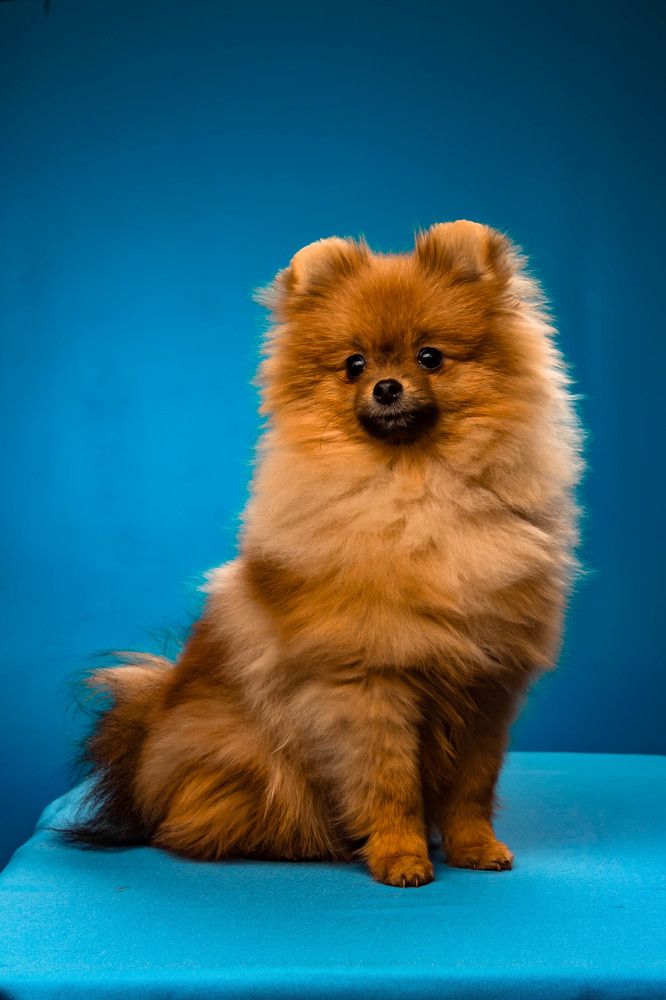 Photograph by Вероника Новикова