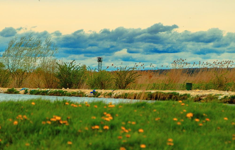 Photograph by Андрей Кошман