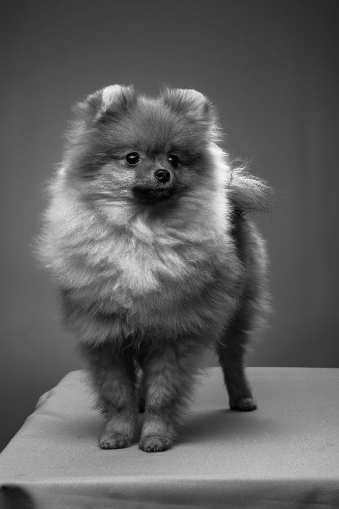 Photograph by Вероника Новикова