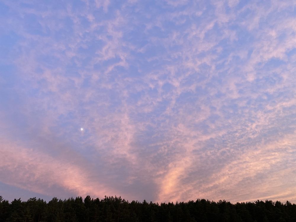 Photograph by Владислав Урдин