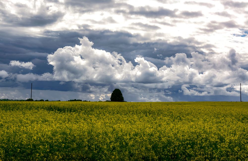 Такое лето...
