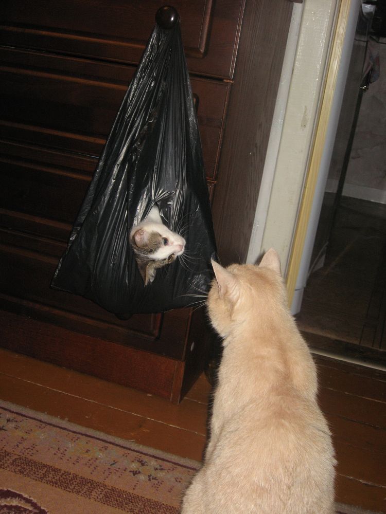 Photograph by Владимир Воложинский