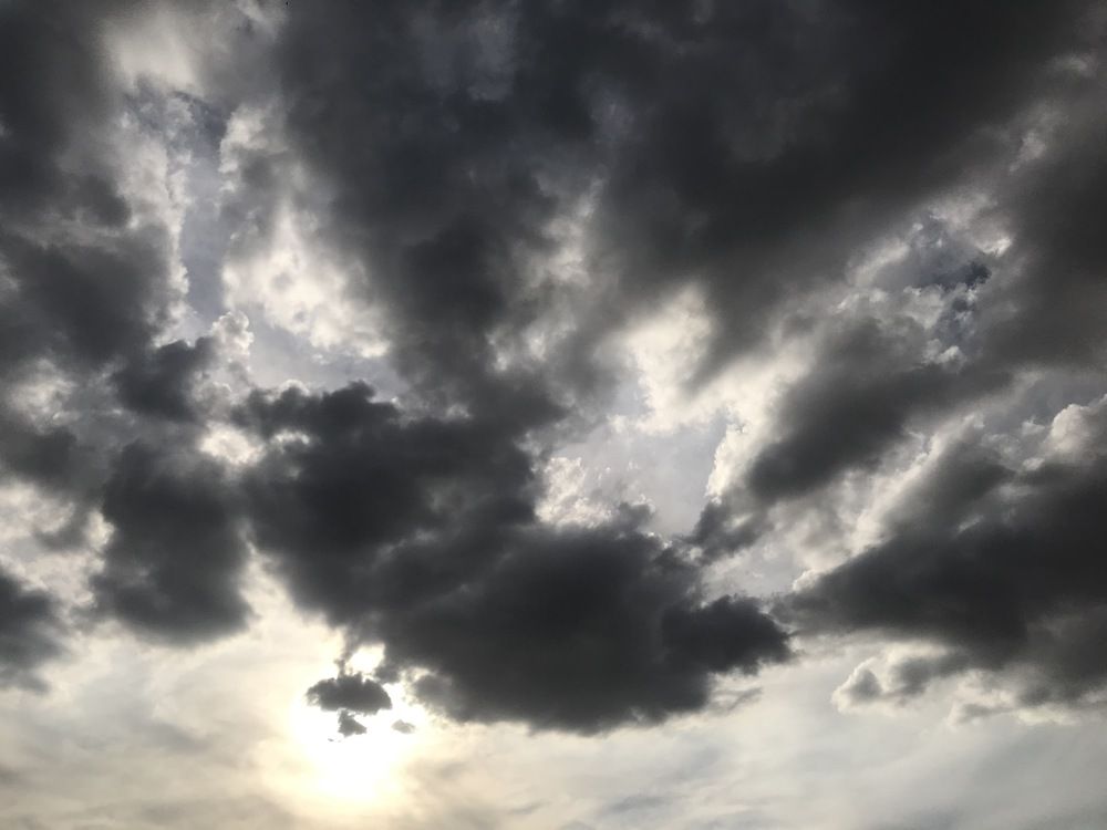 Photograph by Мария Берёзка