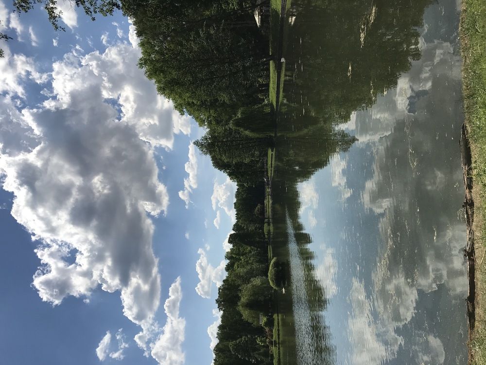 Photograph by Мария Берёзка