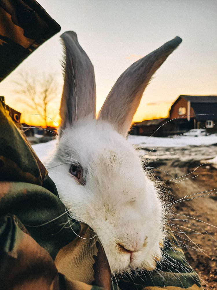 Photograph by Светлана Моисеева