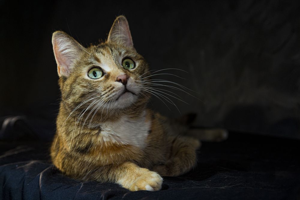 Photograph by Игорь Смирнов