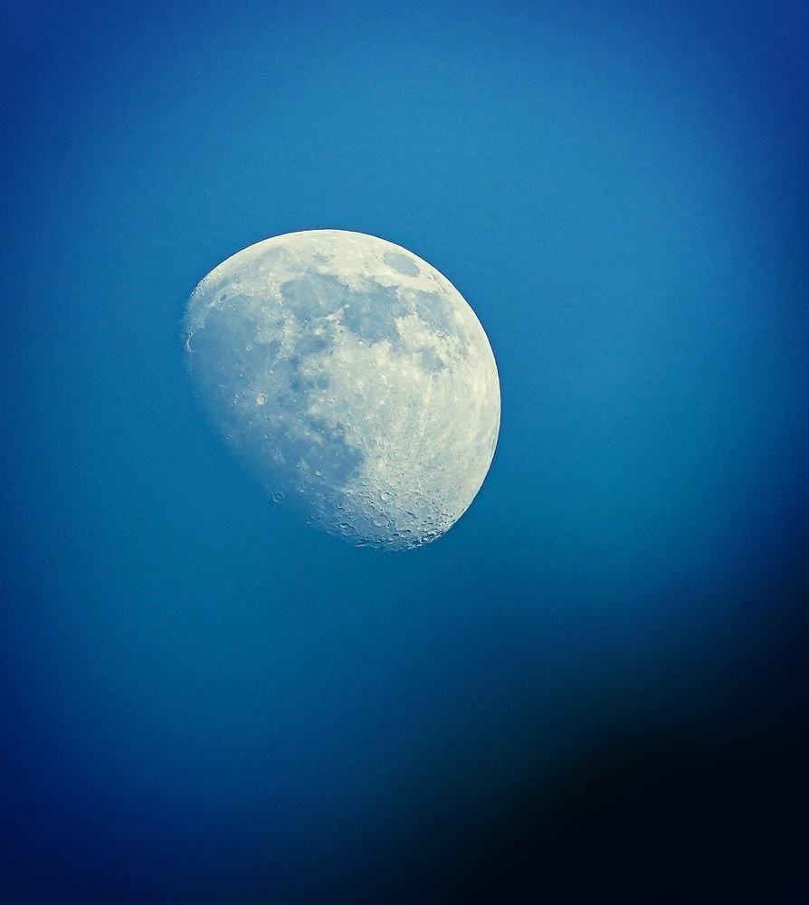 Photograph by Владимир Коновалов