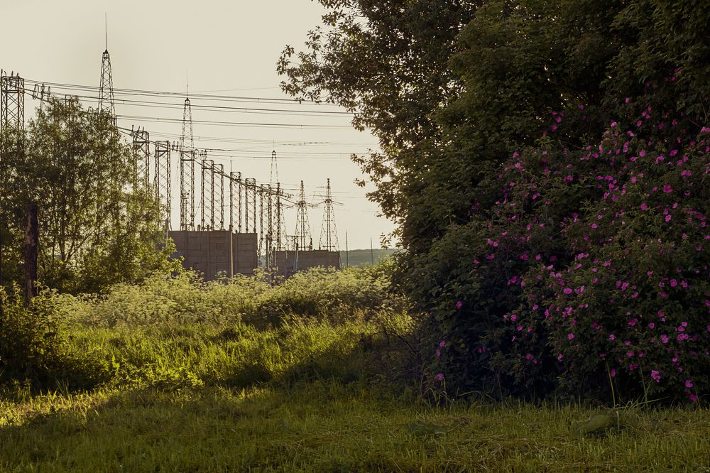 нежелательное соседство
