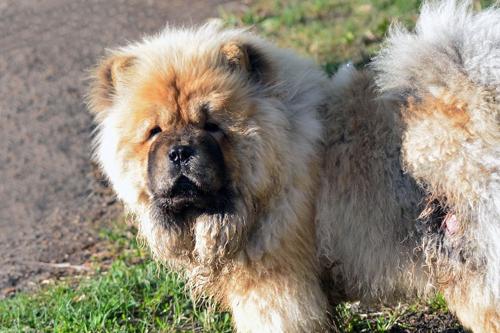 Сердитый незнакомец