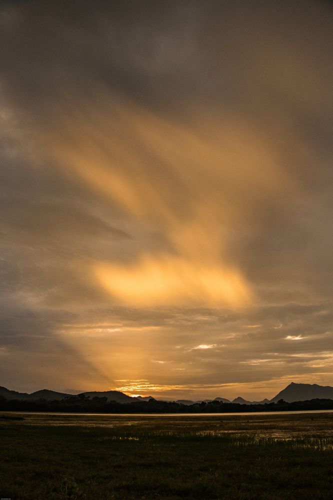 Photograph by Devmitra Jawalia