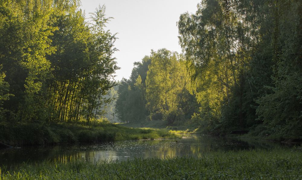 Майское утро