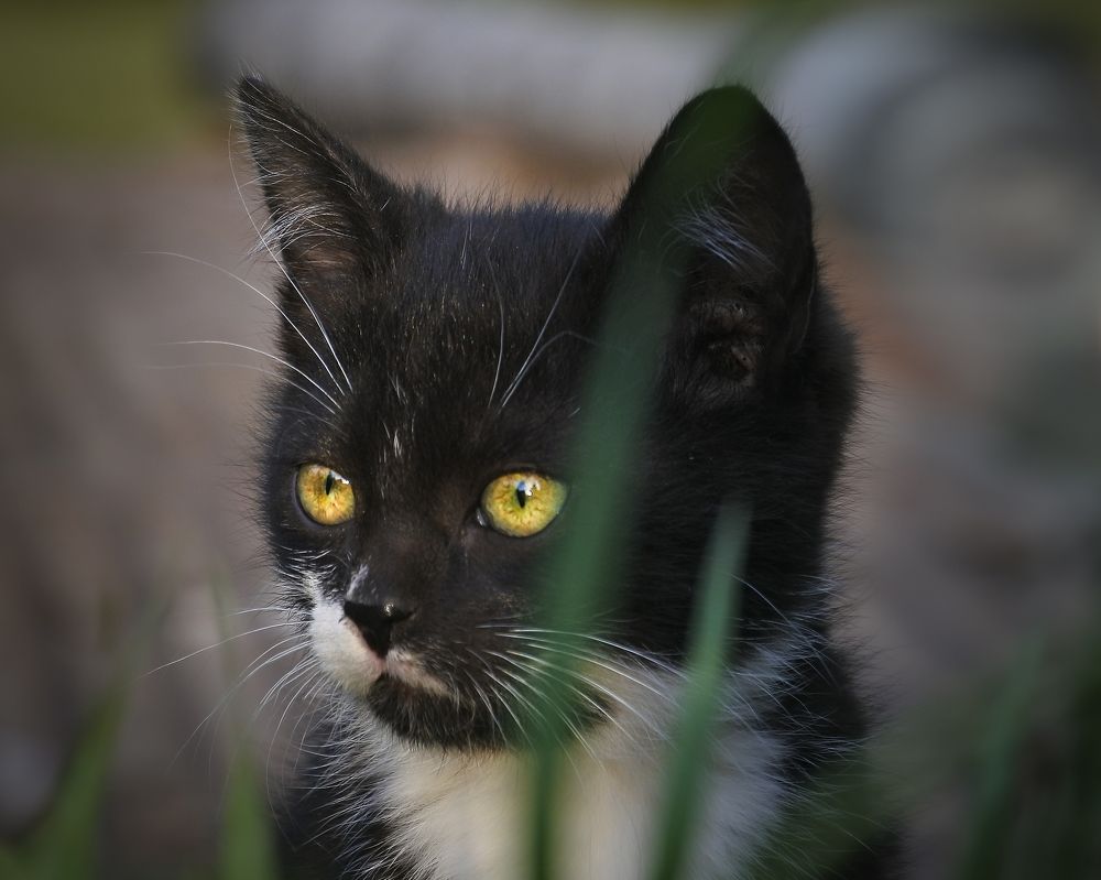 Photograph by Галина Суровицкая